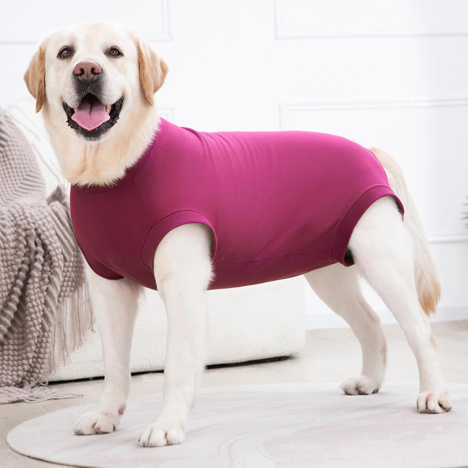 Thumbnail 6 de Axcimond Dog Surgery Recovery Suit – post-op medical pet shirt recovery for male & female dogs
