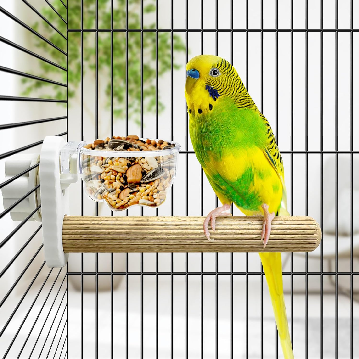 Thumbnail 6 de Kathson Wooden Bird Perch with Feeder