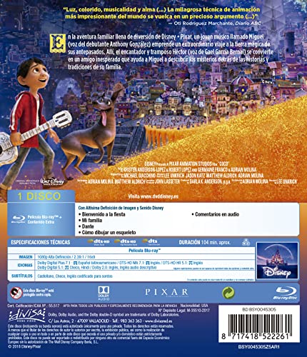 Detalle 2 de Divisa HV Coco Blu-ray