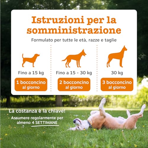 Detalle de Zesty Paws Probiotici per Cani – 90 Bocconcini: benessere digestivo e supporto immunitario