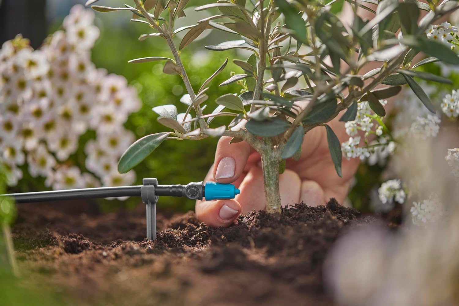 Thumbnail 5 de Gardena Micro-Drip-System Gocciolatore di fine linea regolabile 0-15 l/h (10 pz, 13305-20)