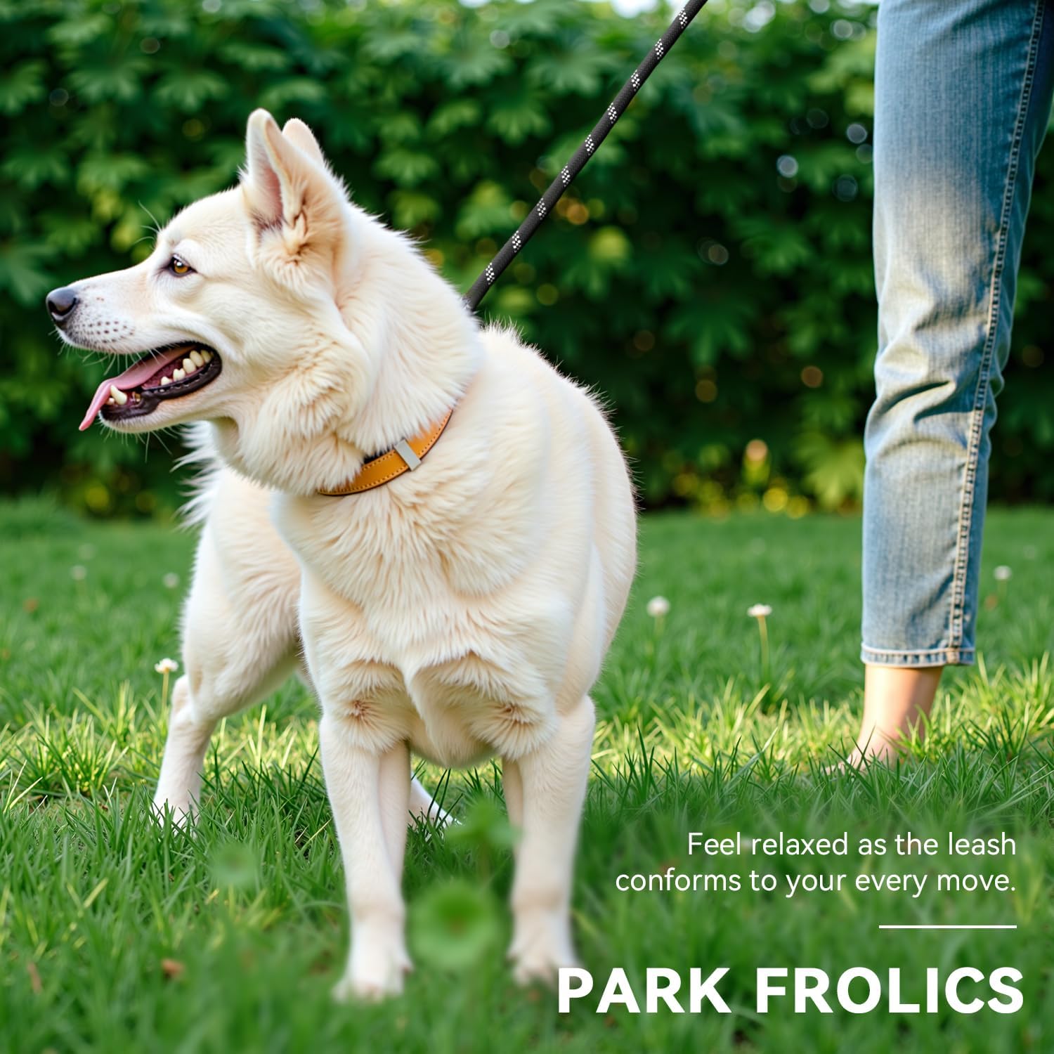 Thumbnail 2 de PETCOOZ Hundeleine 3 m verstellbar 🐕