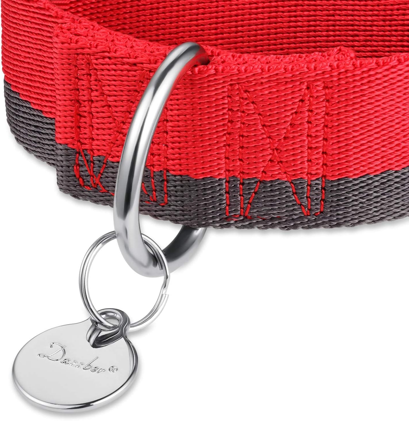 Detalle 2 de Dazzber Martingal Halsband 4cm Breit