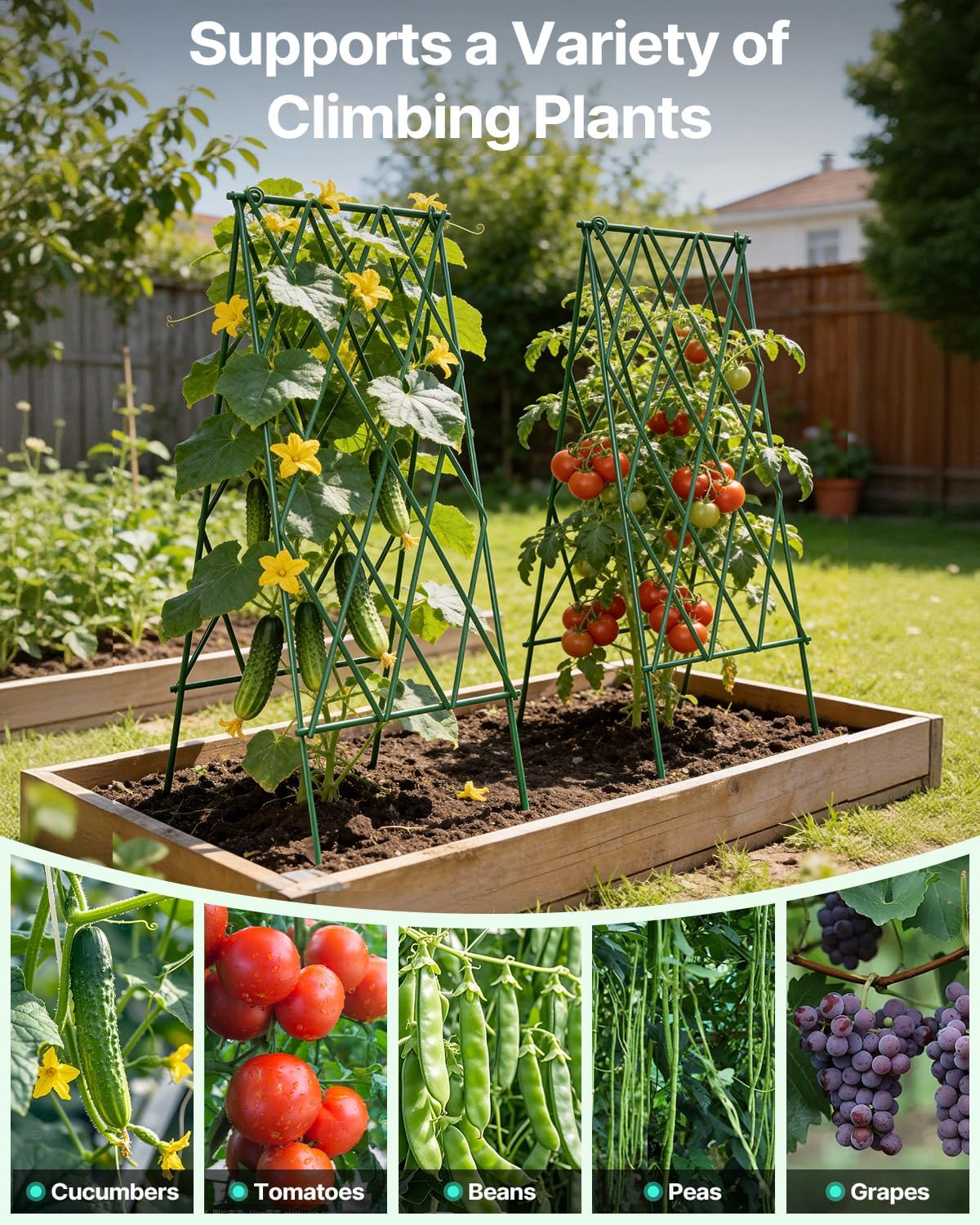 Thumbnail 6 de Suteck Cucumber Trellis 39.2-Inch A-Frame