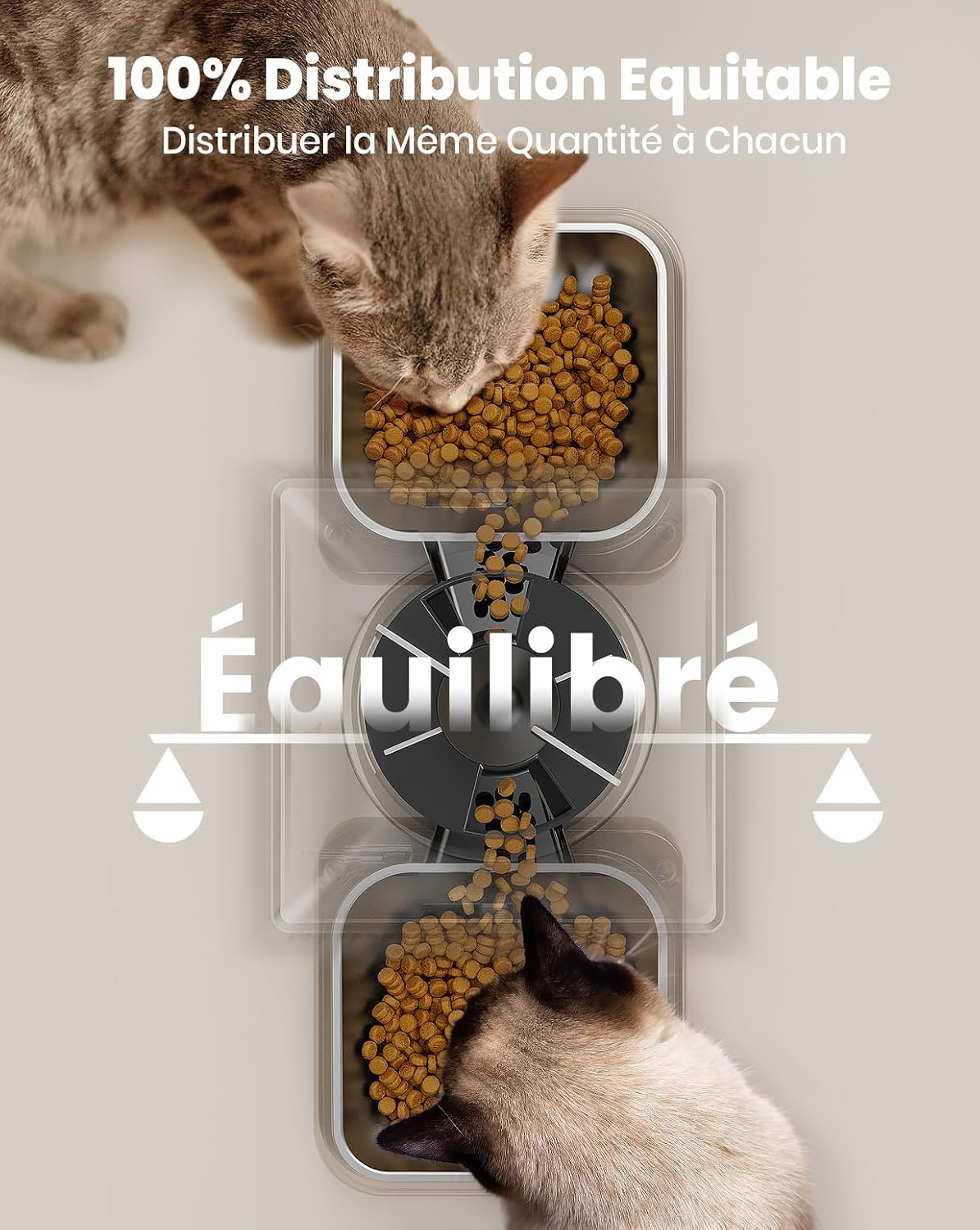 Thumbnail 1 de Oneisall 5L Mangeoire automatique pour chat à 2 bols – distribution précise et programmation simple