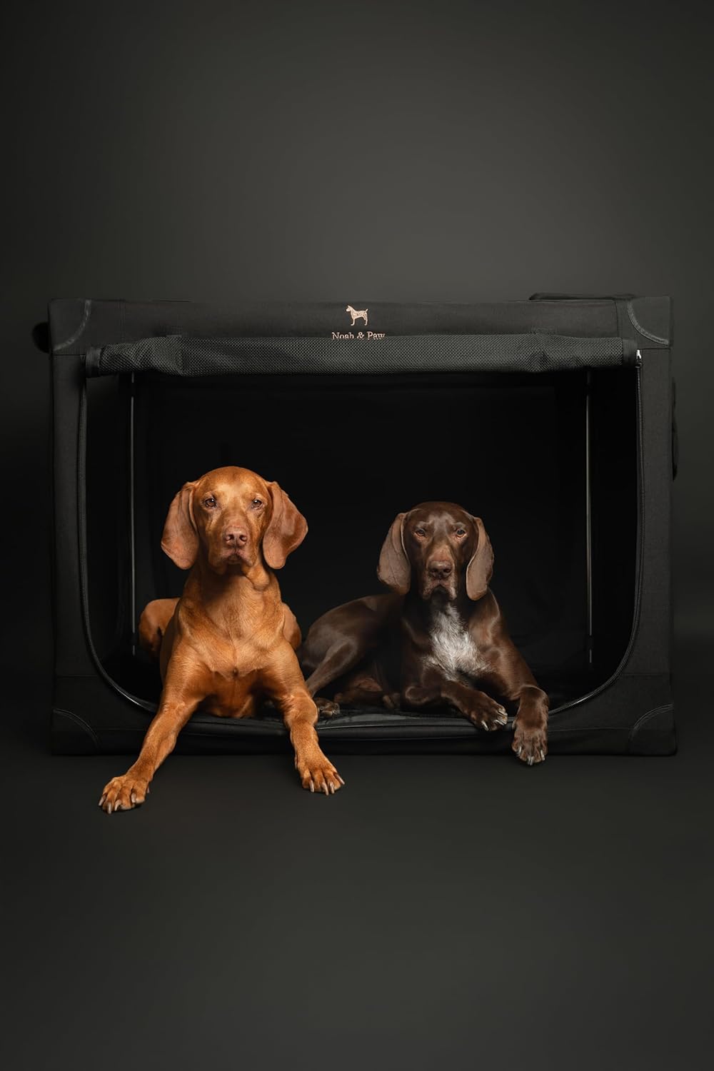 Thumbnail 1 de Noah & Paw 30-Inch Collapsible Dog Crate (Large) with 10mm Locking Zippers and Pet Mat