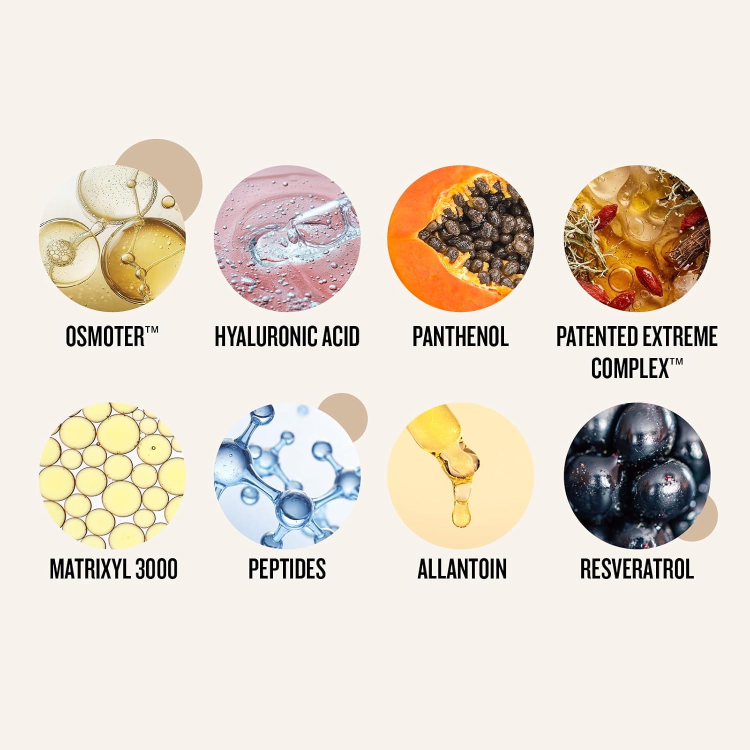Detalle de AHAVA Extreme Tagescreme – Seidig weich & faltenreduzierend, 50 ml