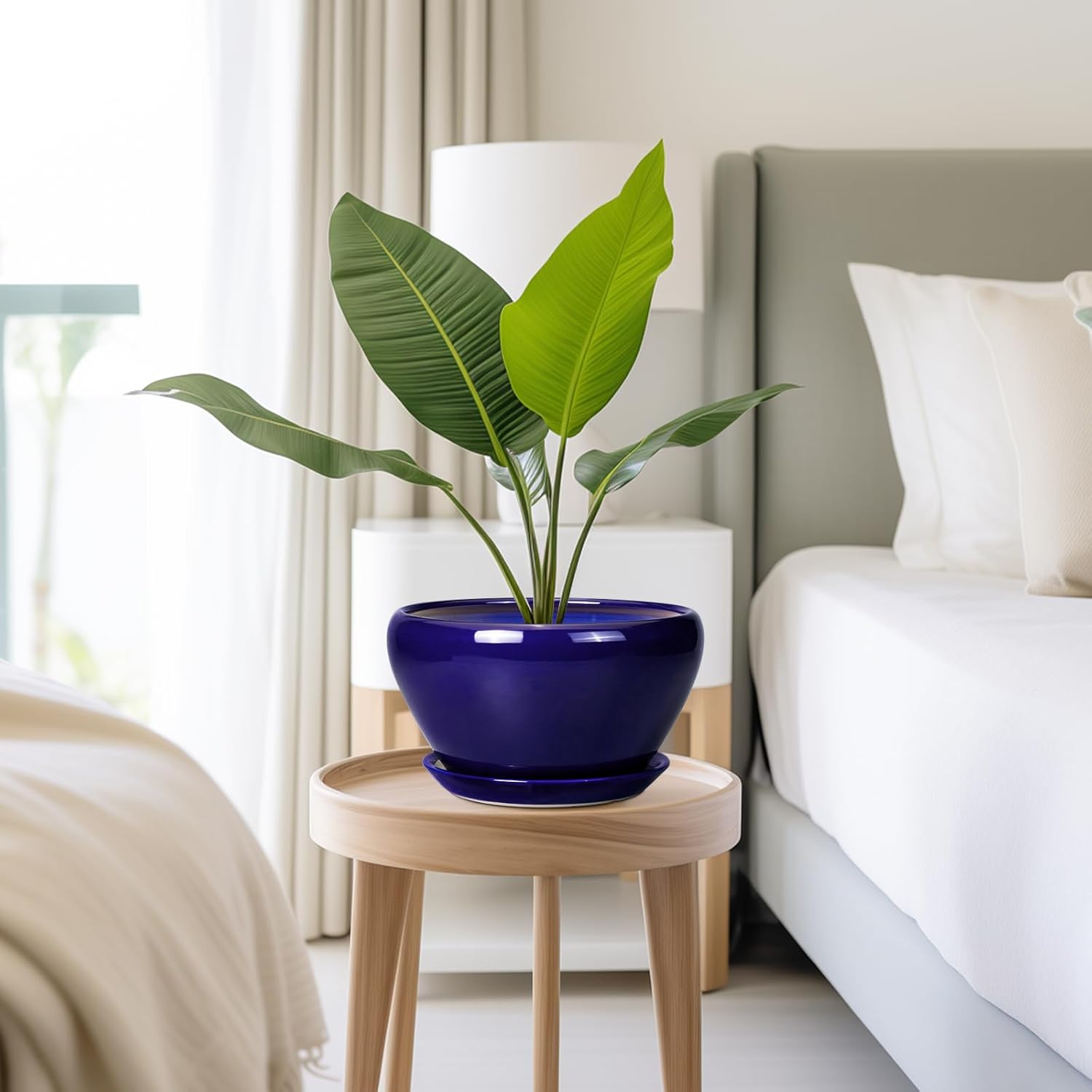 Thumbnail 6 de Ceramicfor Planter 9 Inch for Indoor Plants 🌱