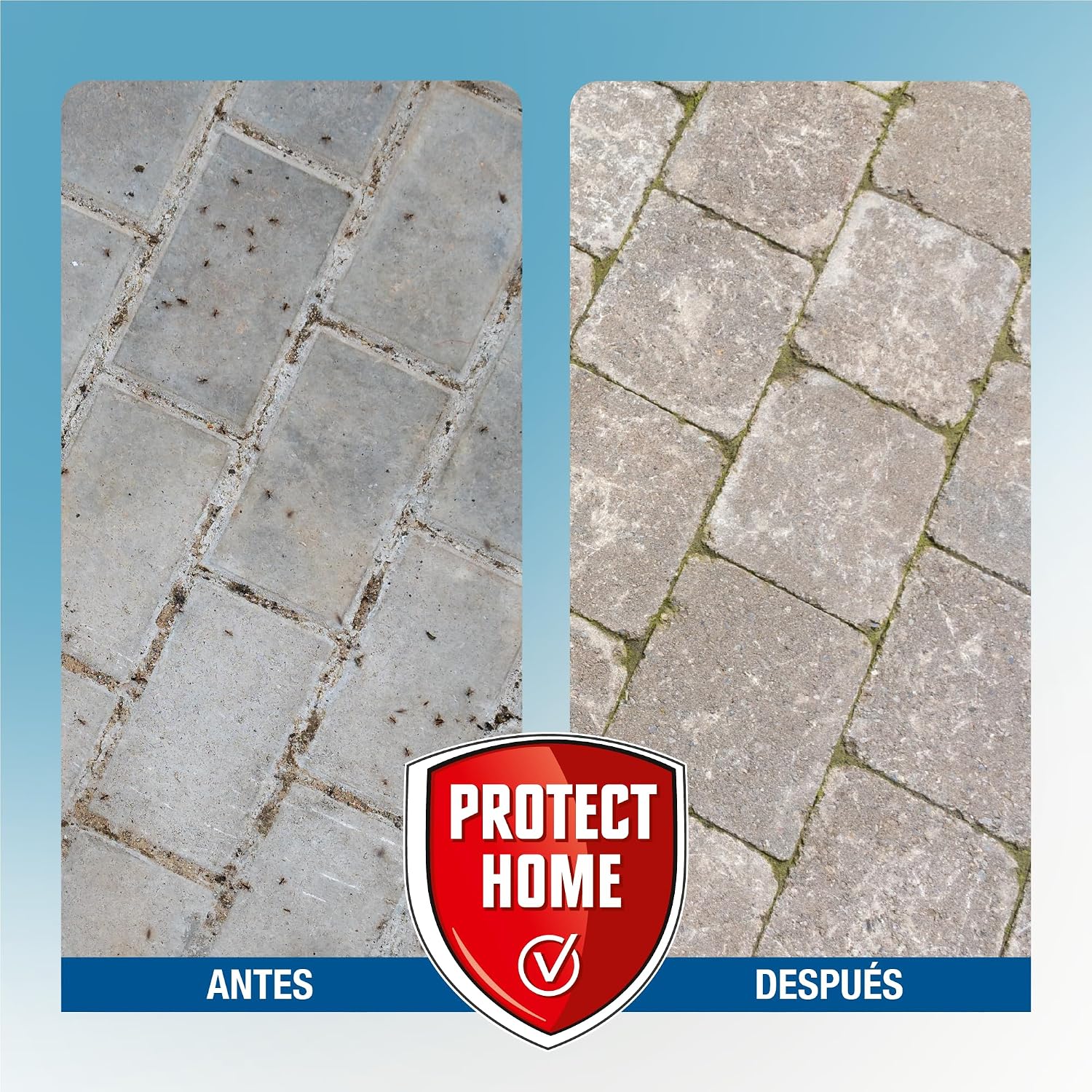 Thumbnail 6 de PROTECT HOME Cebo Antihormigas granulado