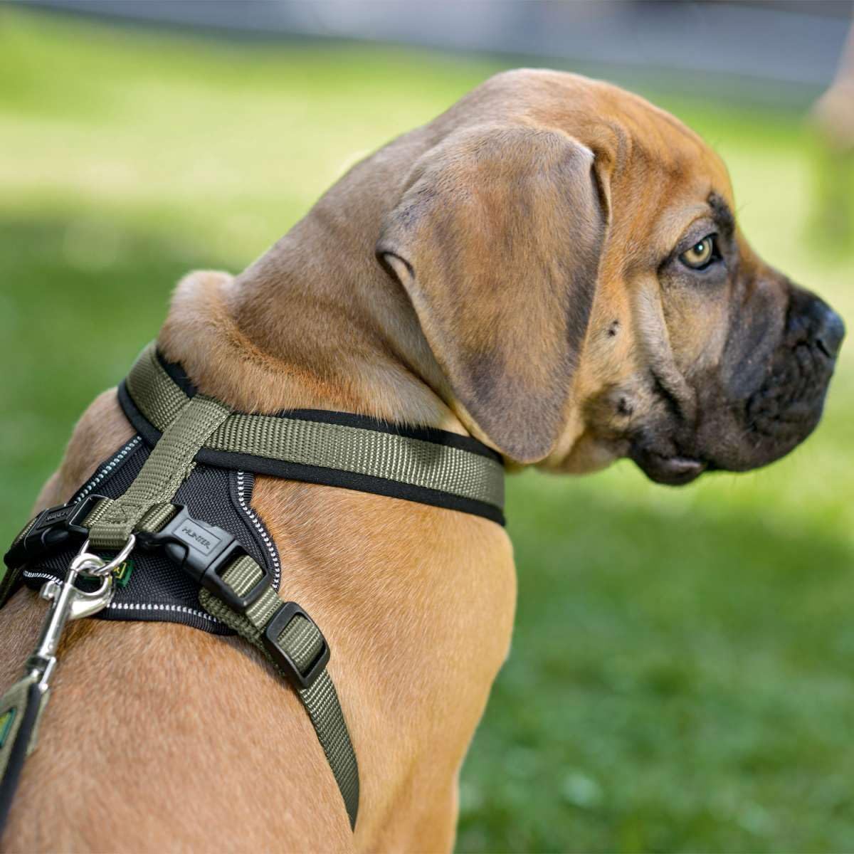 Detalle 2 de HUNTER Hundegeschirr NEOPREN L đ