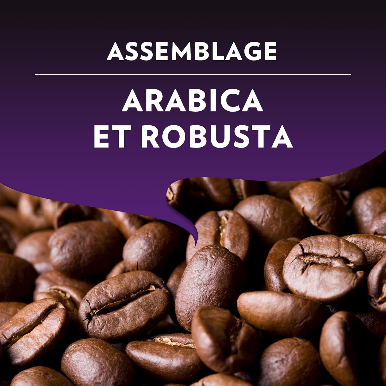 Thumbnail 4 de Lavazza Espresso Maestro Intenso – 100 capsules compatibles Nespresso Original