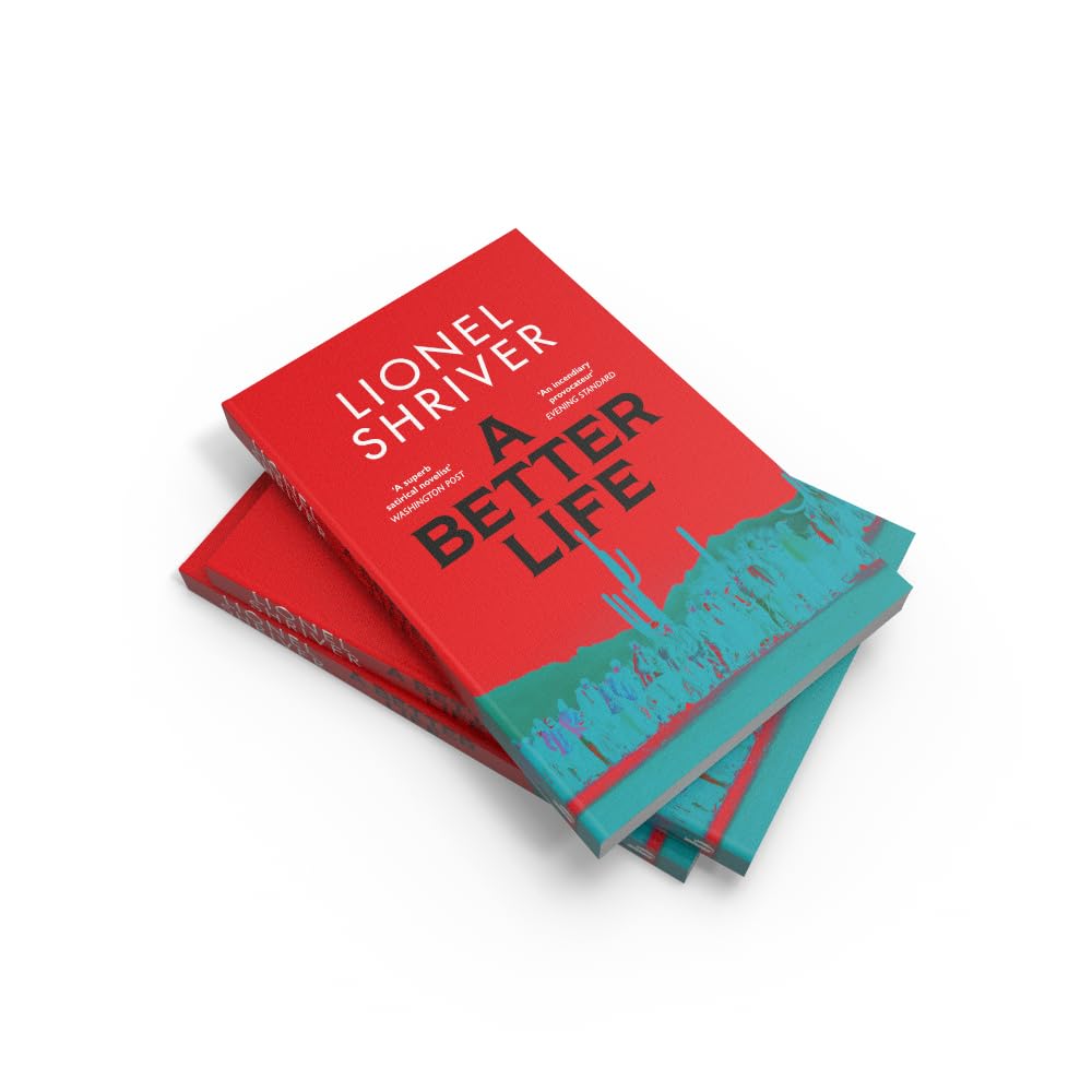Thumbnail 5 de A Better Life – literaire roman over immigratiepolitiek, 288 pagina’s
