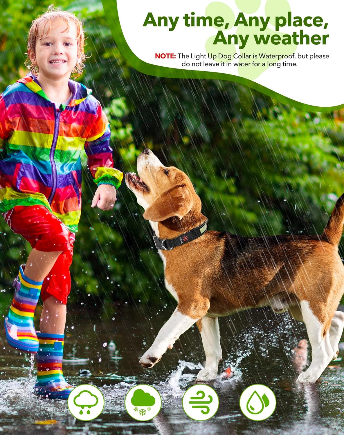 Thumbnail 6 de Weesiber Light Up Dog Collar - Medium (38-50cm) with USB-C Rechargeable LED, Reflective and Water-Resistant