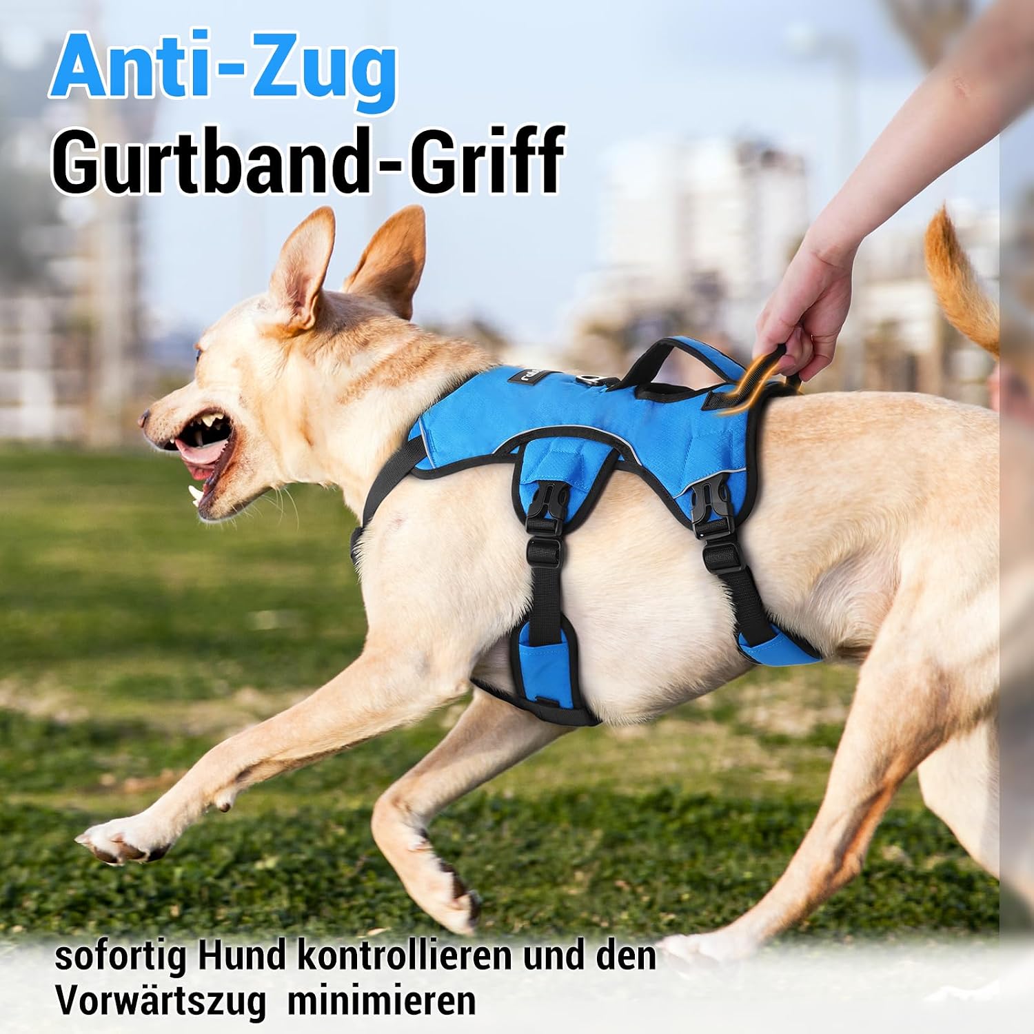Detalle de rabbitgoo Ausbruchssicheres Hundegeschirr mit Griff, gepolstert – Größe L (blau)