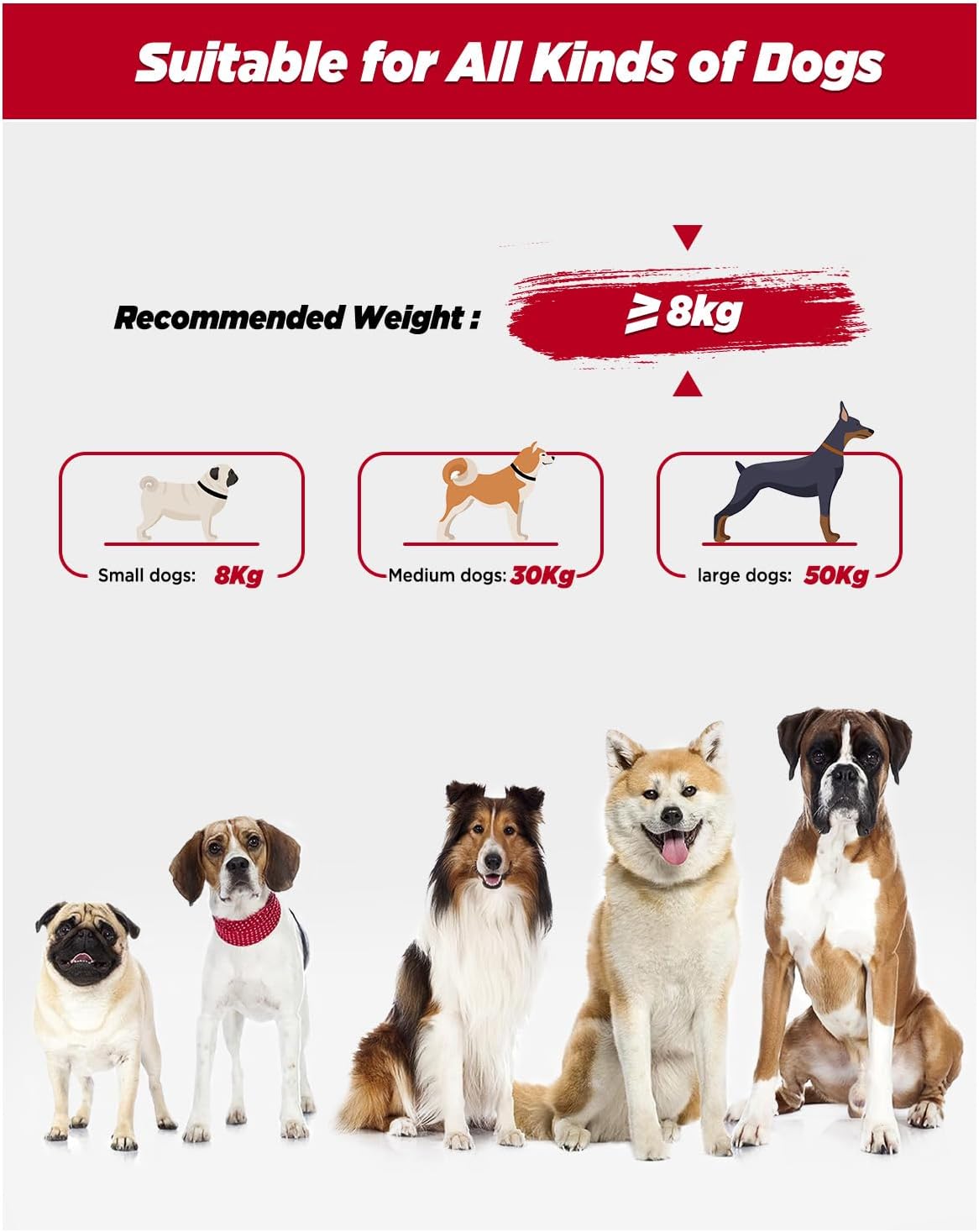 Detalle 2 de Hands Free Dog Lead 2.5M – Adjustable Crossbody Leash with Padded Handle