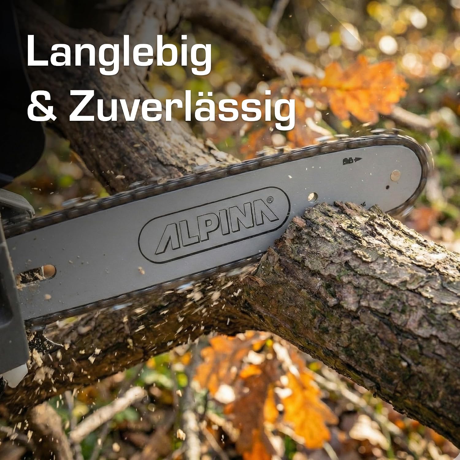 Thumbnail 5 de Alpina APR 25 Motosega da potatura — potenza affidabile per potare alberi e arbusti
