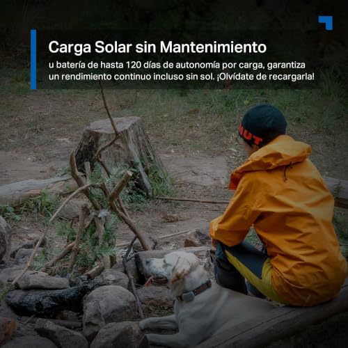 Thumbnail 7 de Tapo C615G Kit – Cámara de seguridad 4G LTE solar con Pan/Tilt 360° y detección AI (Person/Vehicle/Pet)