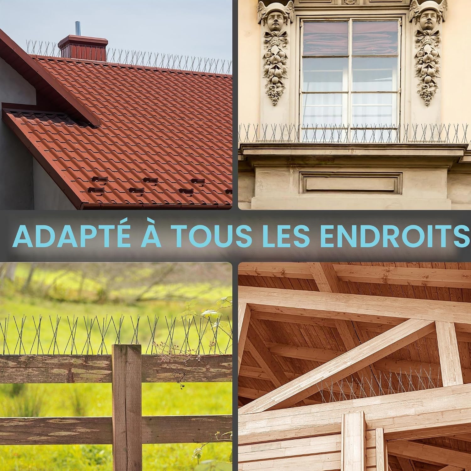 Thumbnail 6 de 5M Pic Anti Pigeon Balcon Acier Inoxydable