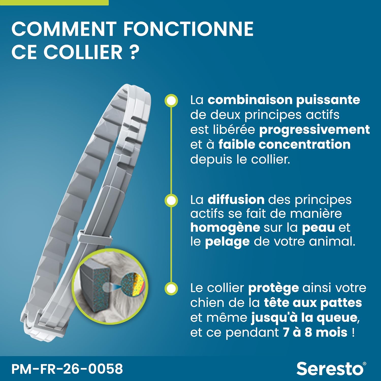 Thumbnail 6 de Seresto Collier Petits Chiens — Collier antiparasitaire pour chiens <8 kg, 7–8 mois de protection
