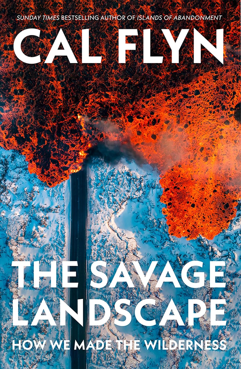 Detalle de The Savage Landscape: The New Book from the Bestselling Author of Islands of Abandonment – boek