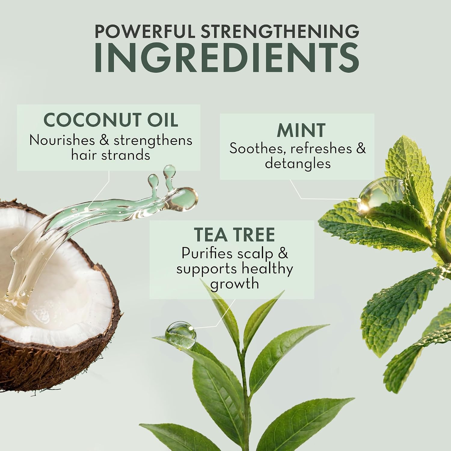 Thumbnail 3 de Pharm to Table Tea Tree Oil Leave-In Conditioner Spray, 8 fl oz