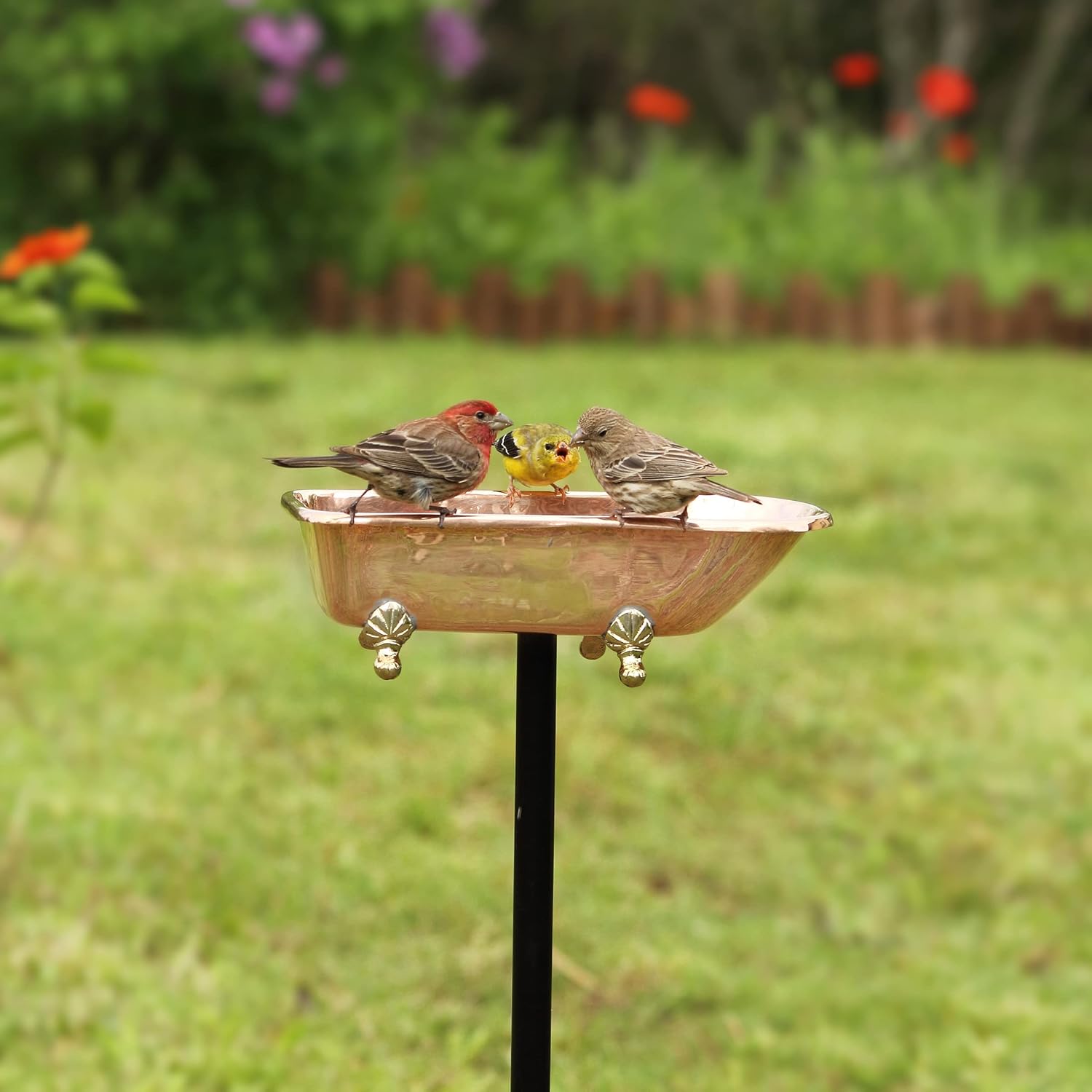 Thumbnail 6 de Good Directions Bird Bath, Pure Copper