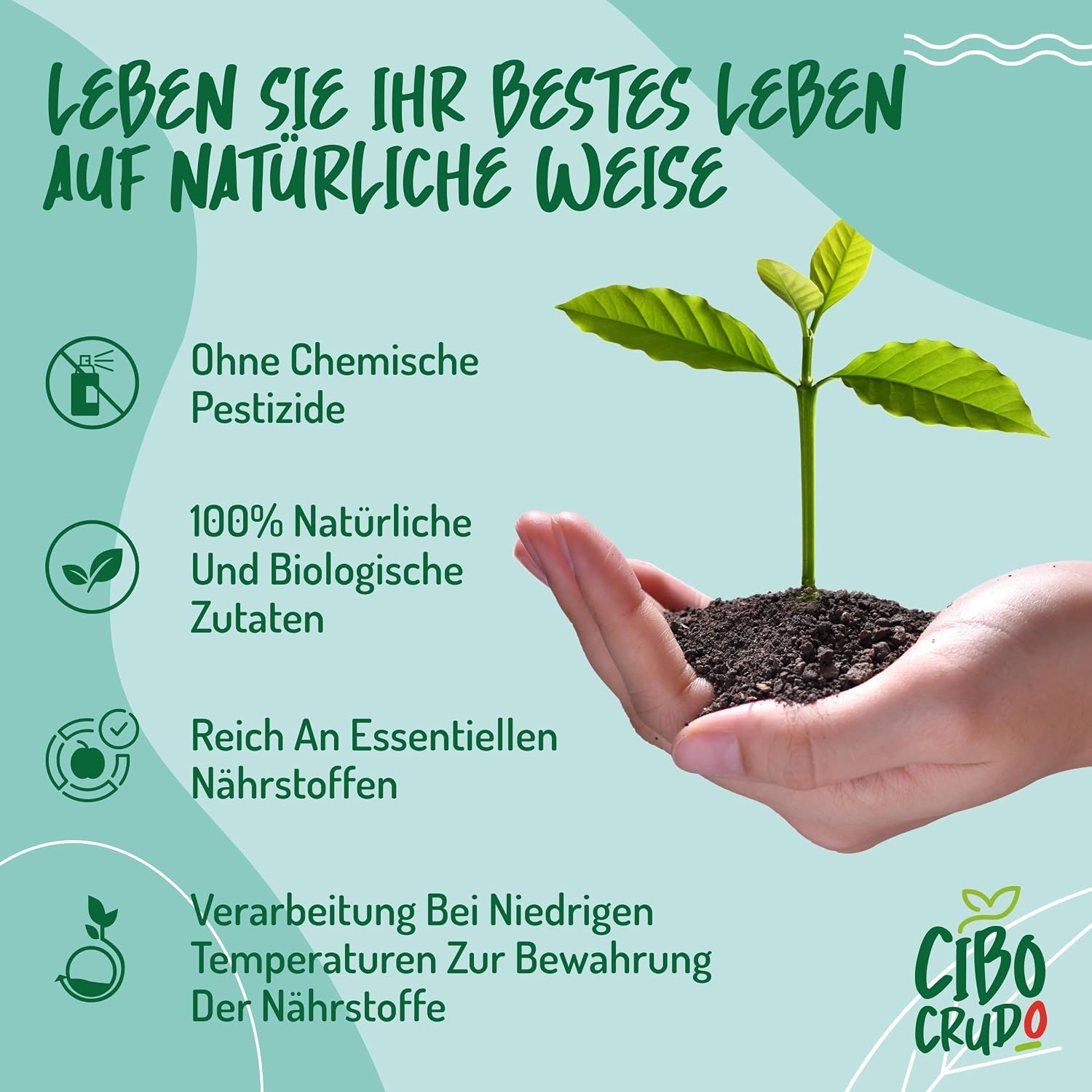 Thumbnail 6 de Kastanienmehl Bio – 500 g (Roh, glutenfrei, vegan) von CiboCrudo