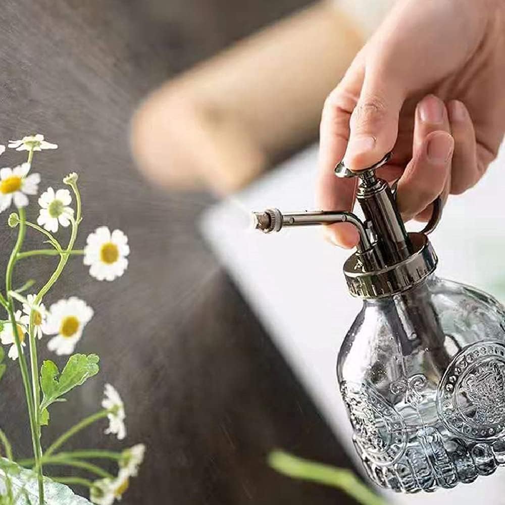 Thumbnail 5 de ZIUHEOA Plant Mister Glass Spray Bottle