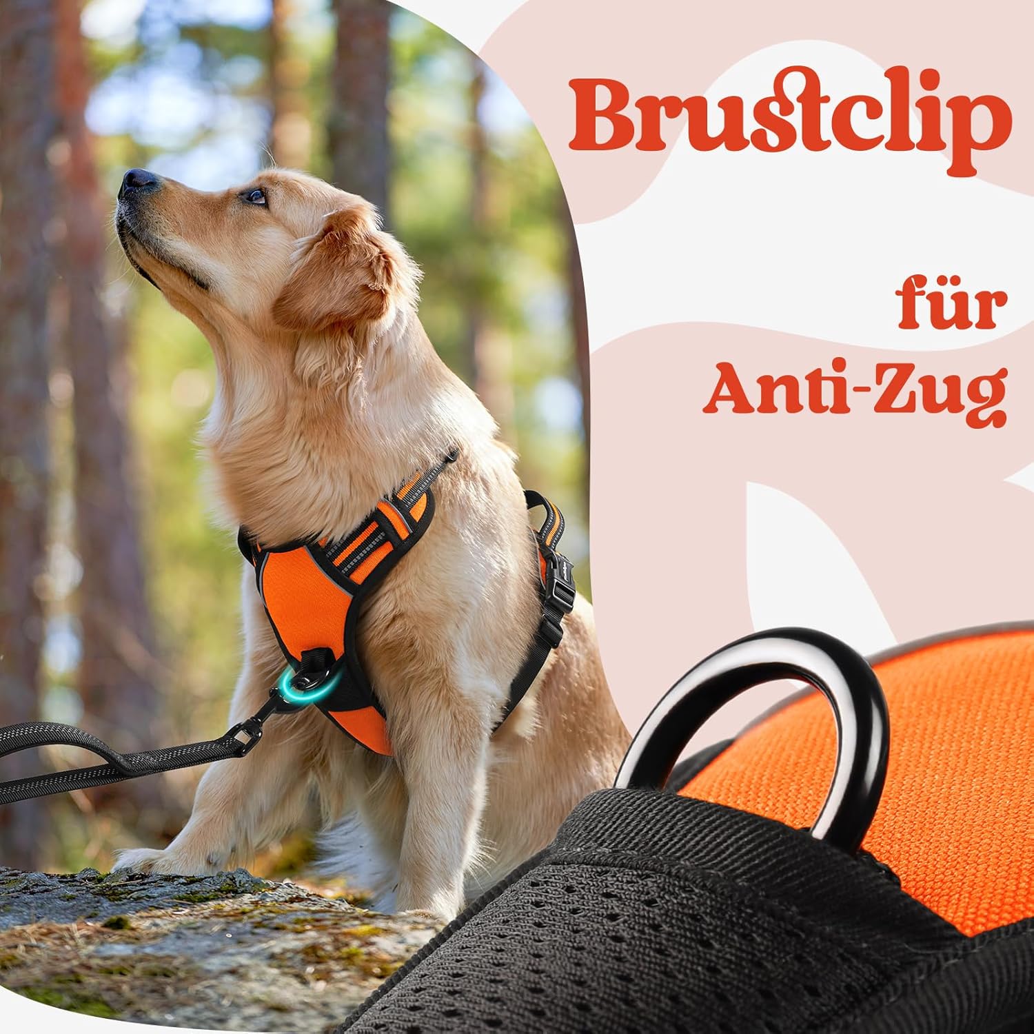 Thumbnail 5 de rabbitgoo Hundegeschirr Mittelgroße Hunde (Orange, Größe M) mit Anti-Zug, gepolsterter & reflektierender Brust