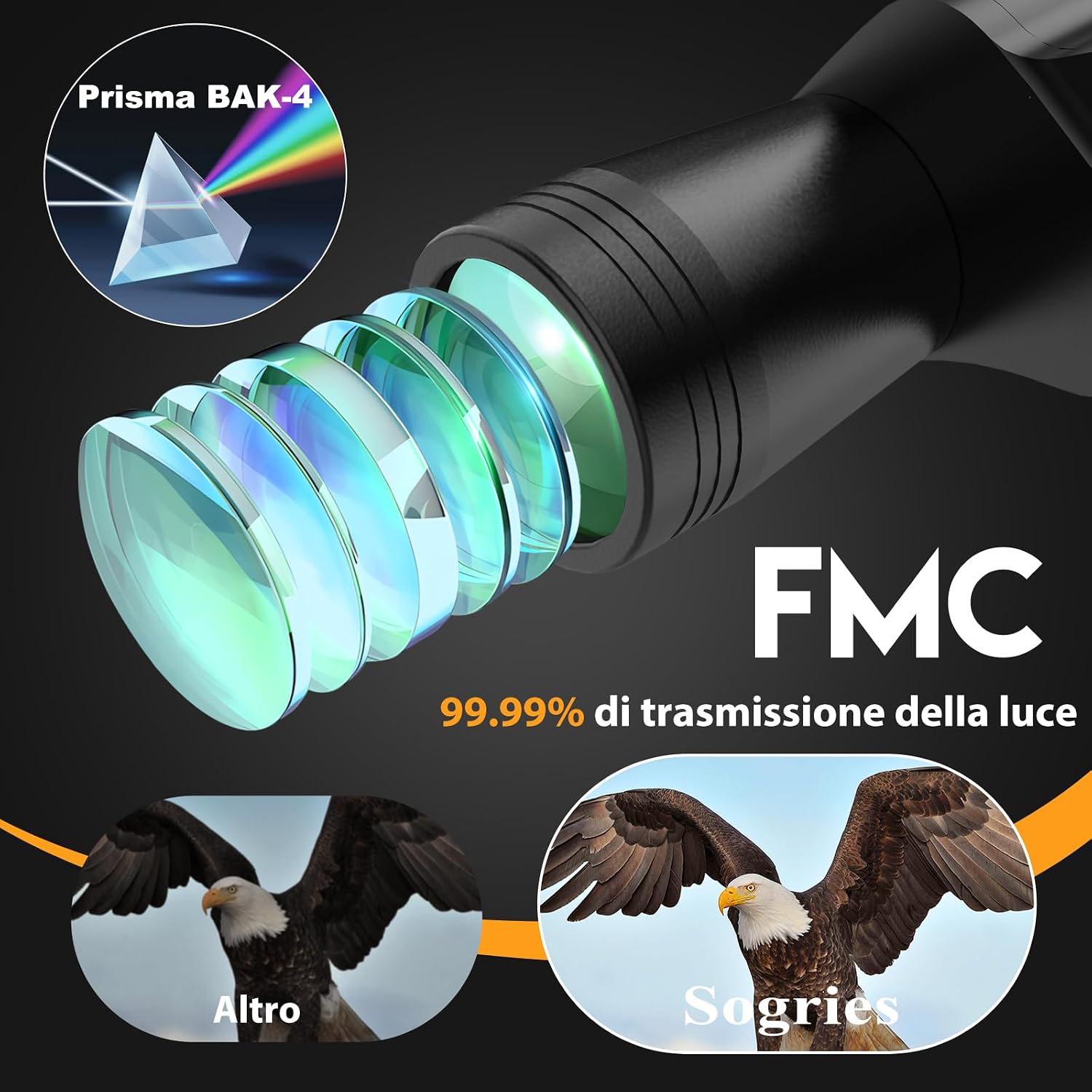 Detalle de Binocolo HD 10x50 per adulti: impermeabile, leggero e durevole per bird watching e viaggio