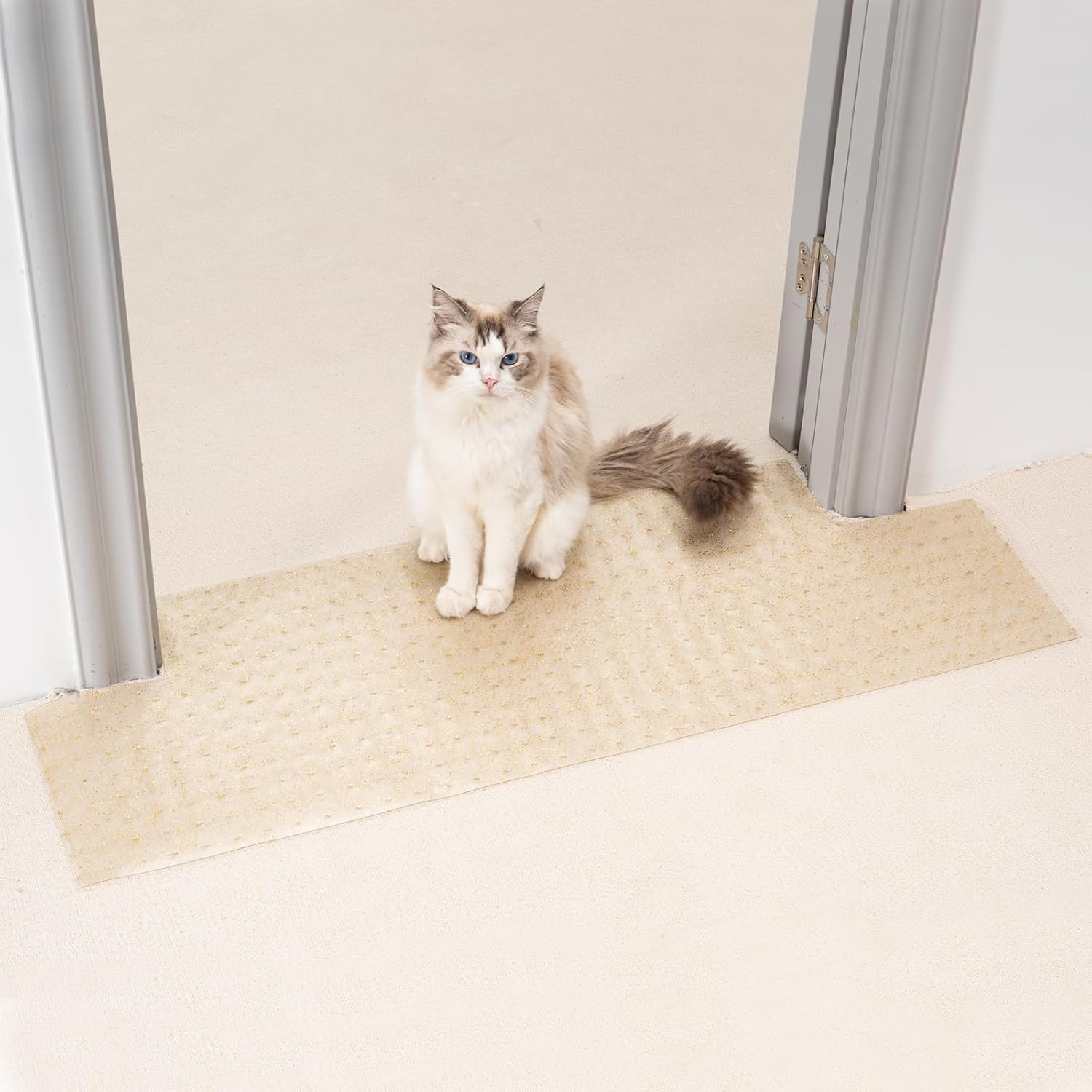 Detalle 2 de Uross 110 cm Carpet Protector for Cats 🐱
