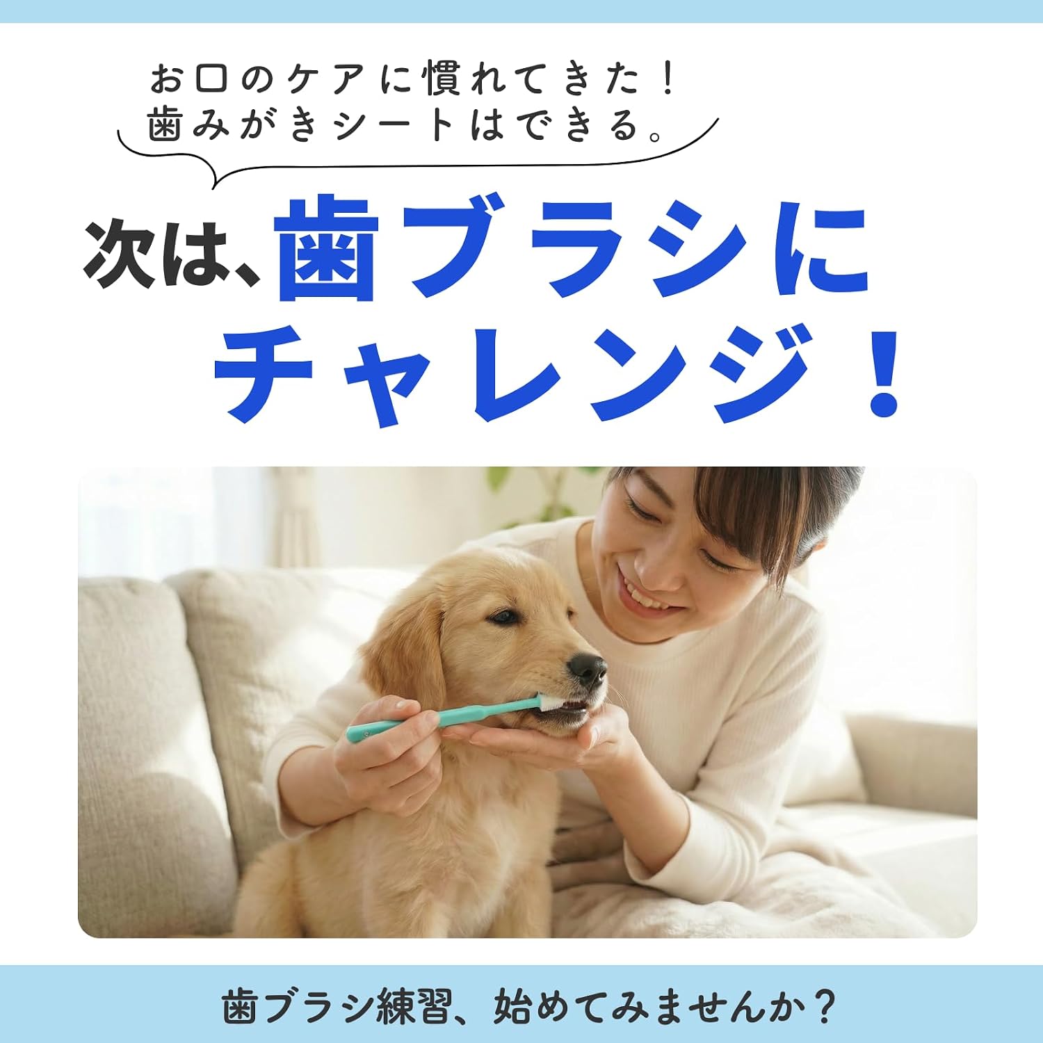 Detalle 1 de トーラス デントレーナー360 犬・猫用360度歯ブラシ、ナイロン毛、5本セット