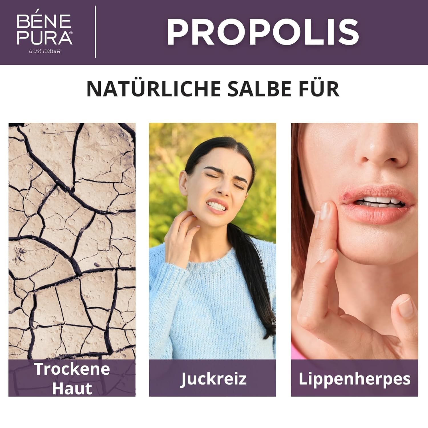 Detalle 2 de Bene Pura Propolis Salbe 30% für trockene Haut 40 ml