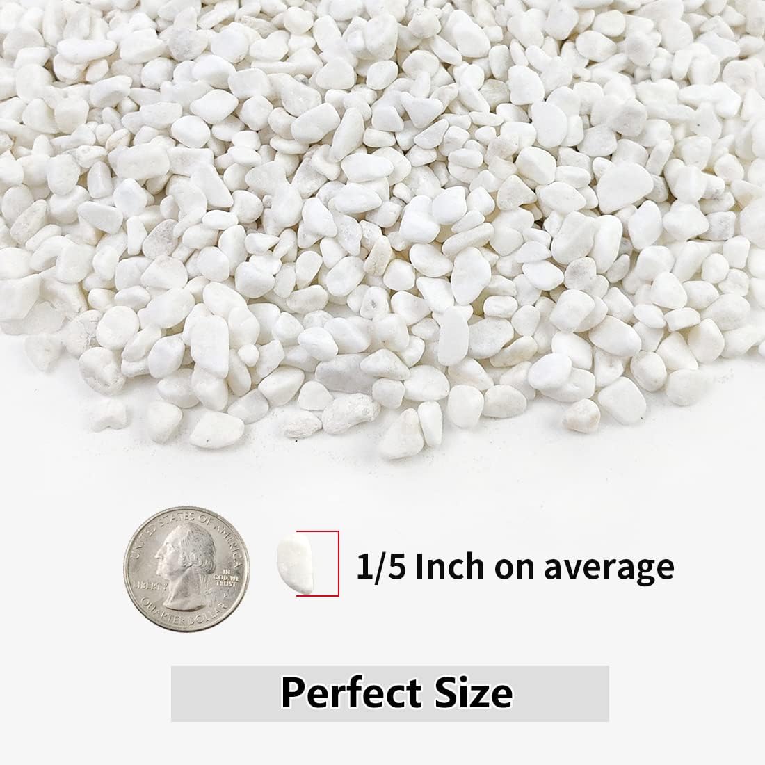 Detalle 2 de YISZM White Succulent and Cactus Pebbles, 1/5-Inch Natural Stone