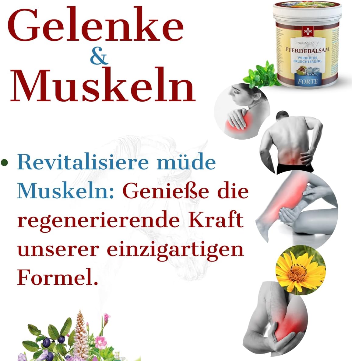 Detalle 2 de SwissMedicus Pferdebalsam mit 500 ml