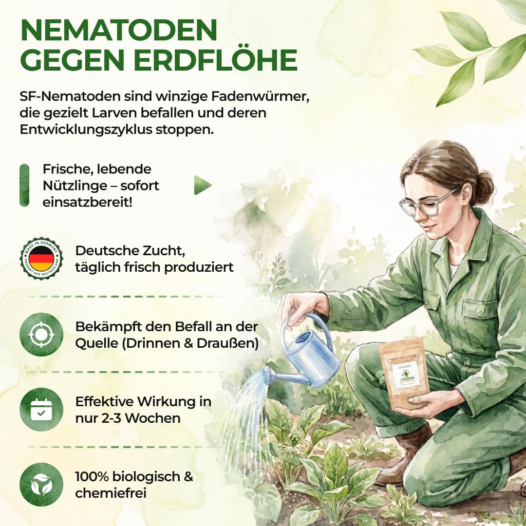 Detalle 2 de GREEN GUARDIA Super SF-Nematoden gegen Erdflöhe – 10 Mio. für 20m²