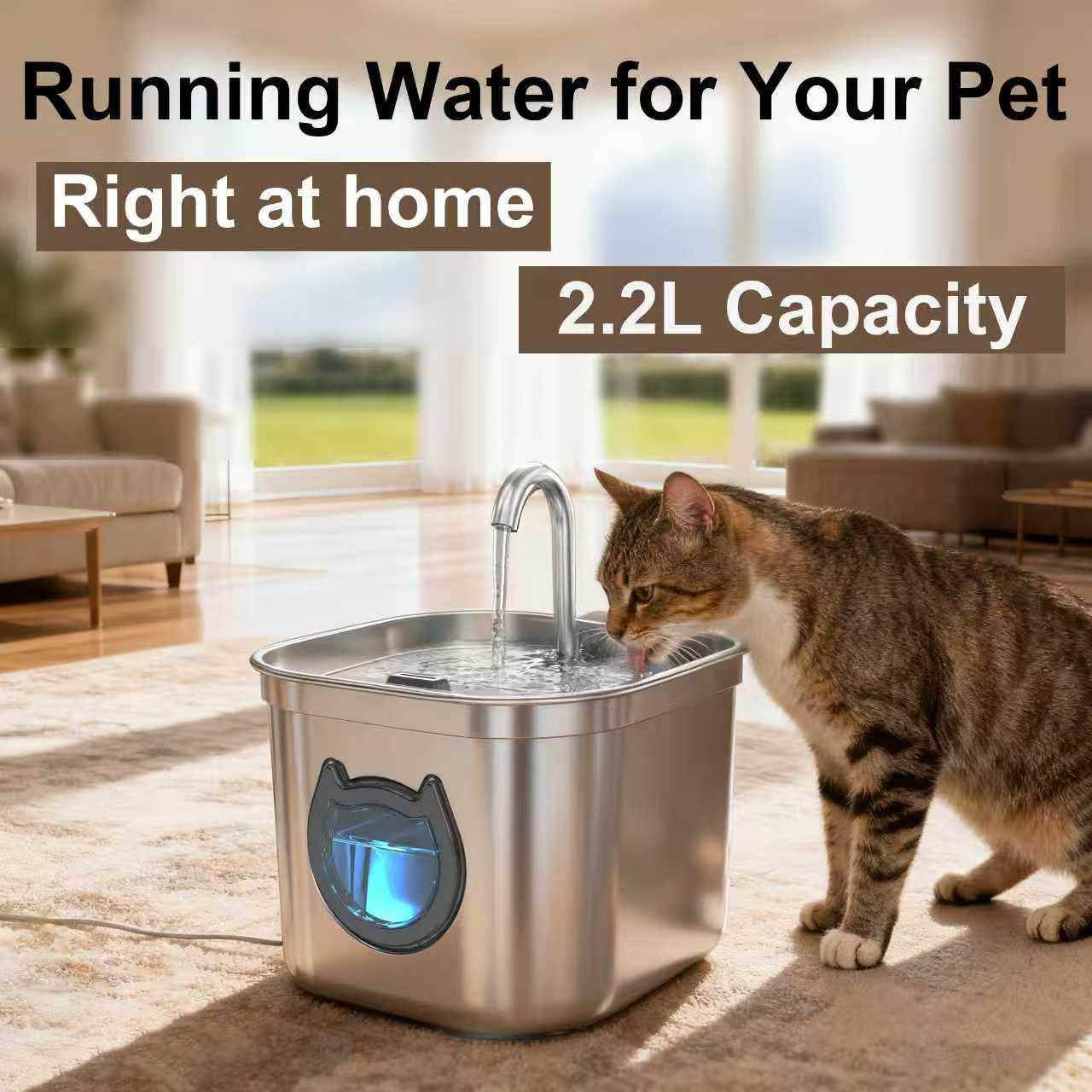 Detalle 2 de Cat Water Fountain for Drinking 2.2L Stainless Steel with Filter, LED Night Light and Quiet Pump