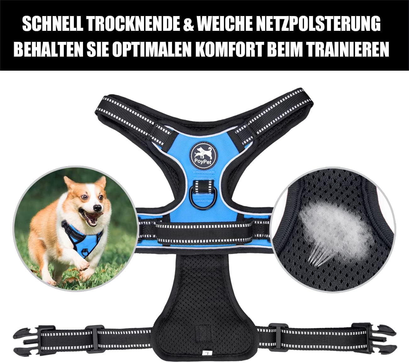 Thumbnail 6 de PoyPet No Pull Hundegeschirr (blau) mit reflektierenden Elementen, 2 Leinenbefestigungen und Steuergriff – für kleine bis mittelgroße Hunde, XS