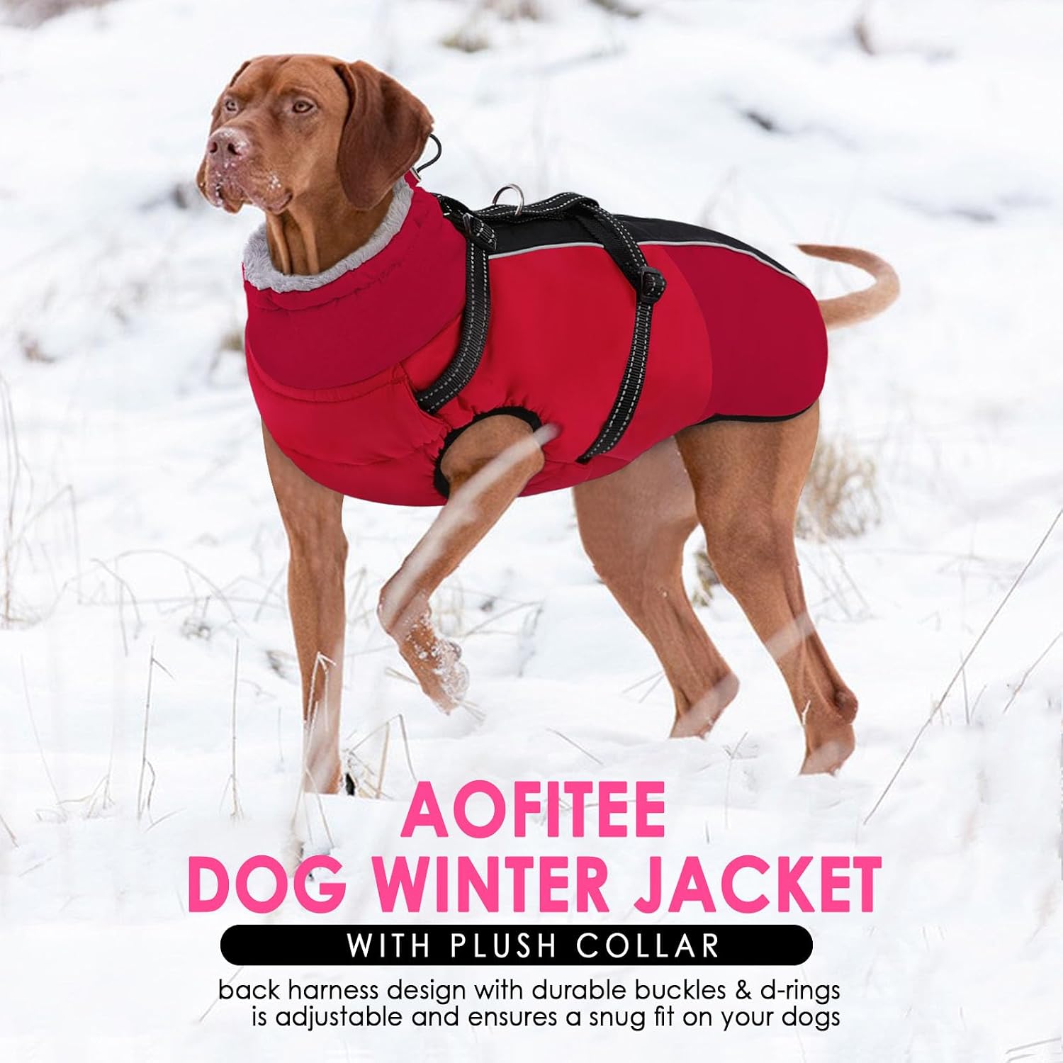 Thumbnail 6 de AOFITEE Dog Coat, Size L