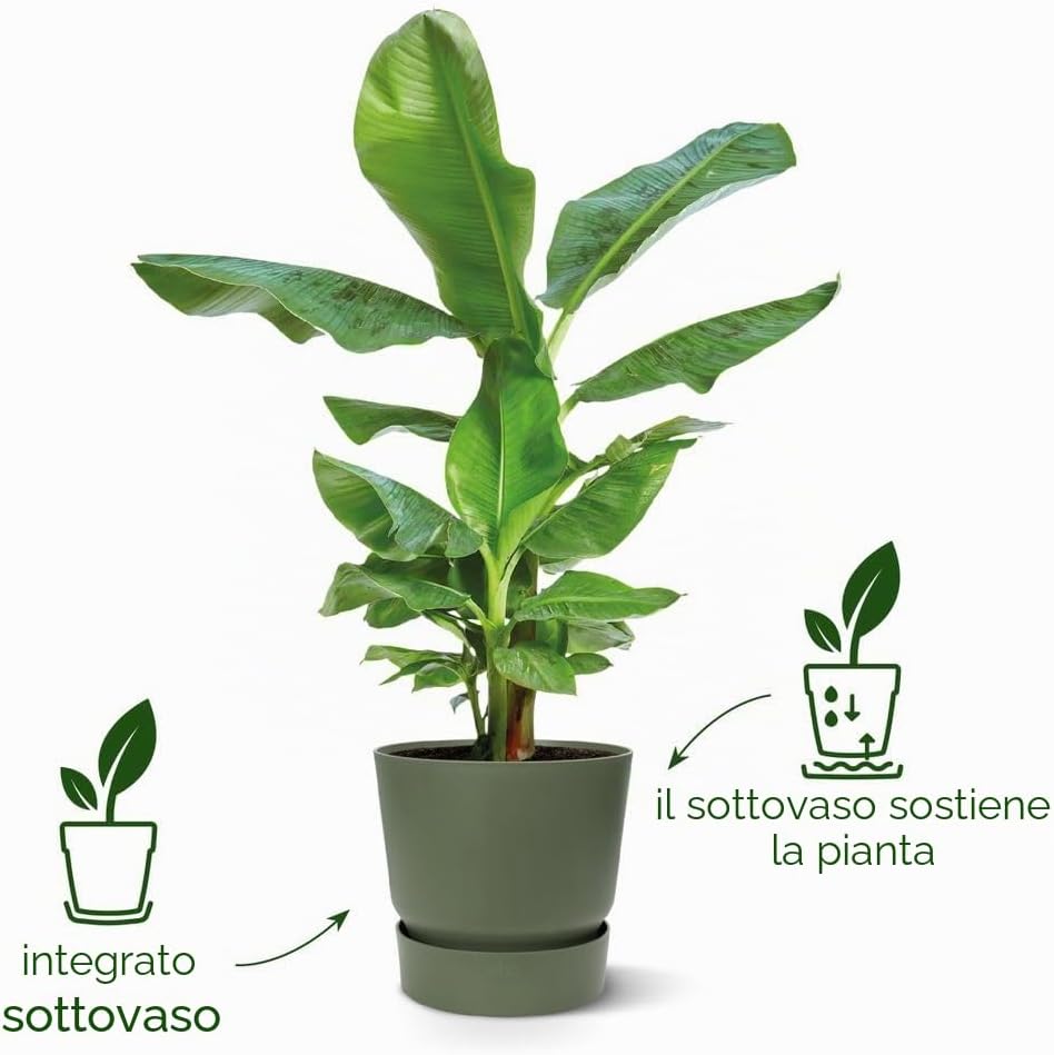 Detalle de Elho Greenville Round 40cm Vasi per Piante - White: eleganza pratica con sottovaso integrato