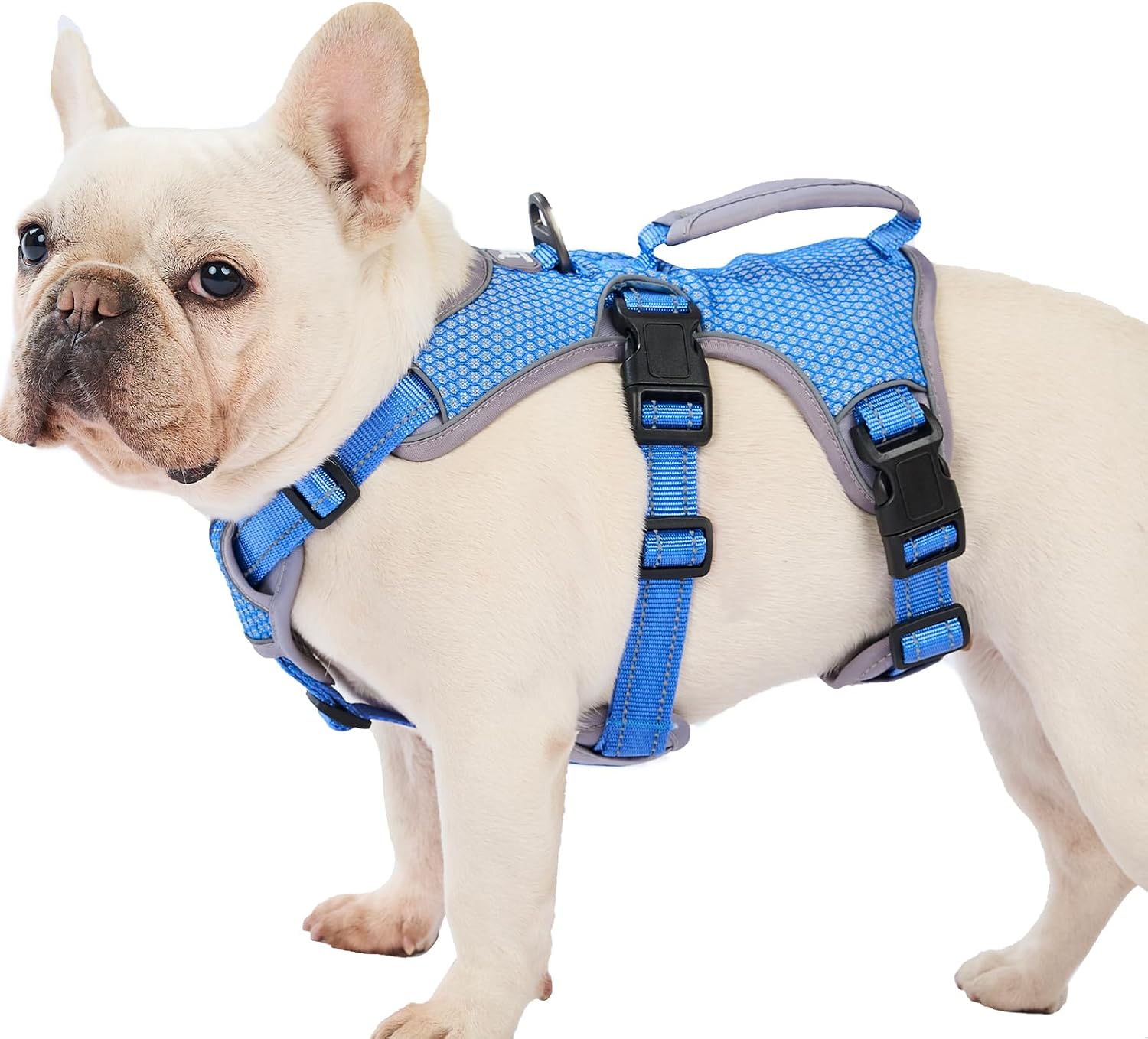 Detalle de Huntboo Dog Harness M