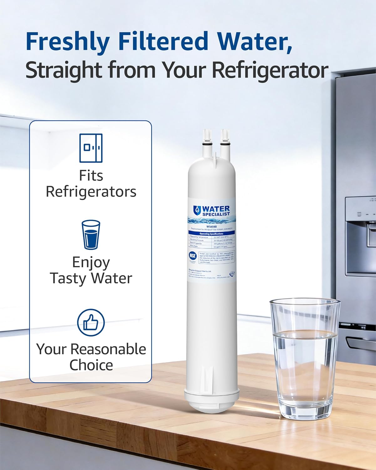 Detalle 2 de Waterspecialist WS608 Refrigerator Water Filter, Coconut Carbon Block, NSF 42/372