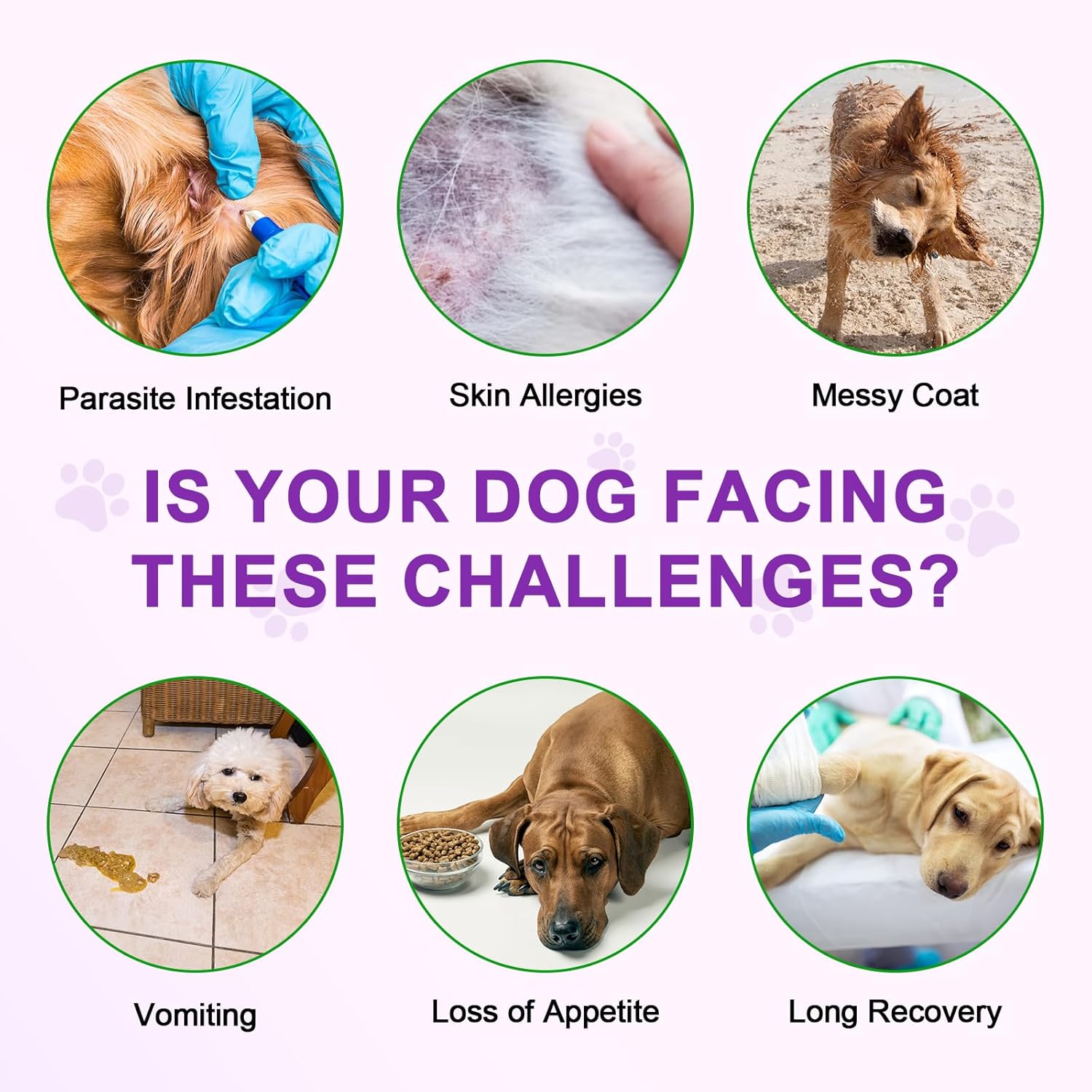Detalle de Dog Allergy Relief Treats 150 unidades
