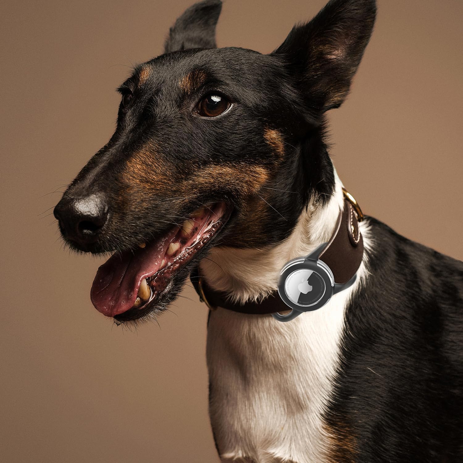 Thumbnail 6 de AirTag Holder for Dog Collars, Silicone