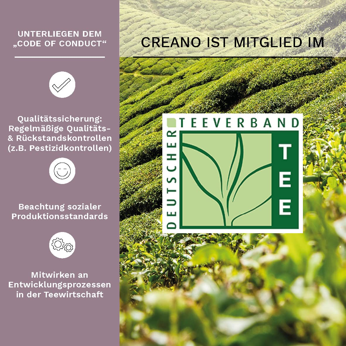 Detalle 2 de Creano Erblühtee Geschenkset 6 Teeblumen ❤️🍵