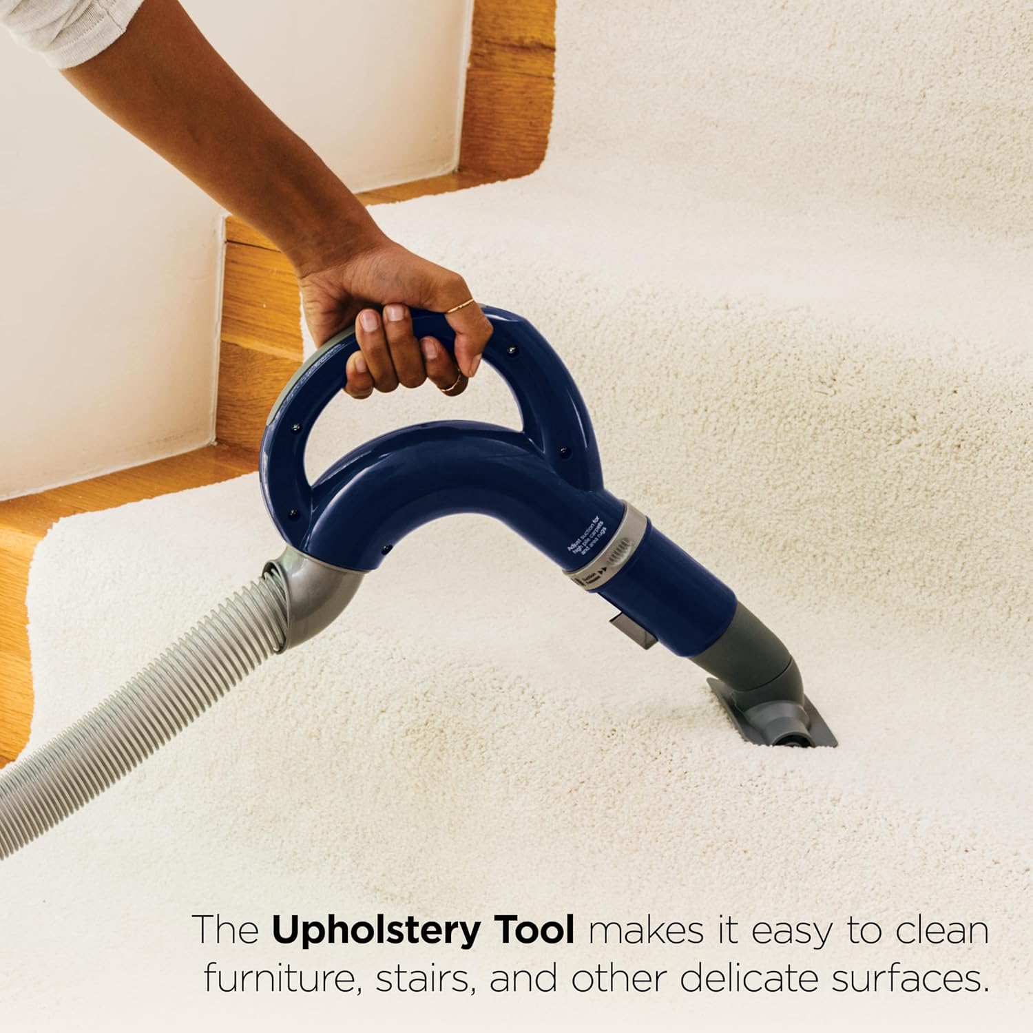 Detalle 2 de Shark Navigator Lift-Away NV360: Powerful Pet Hair Removal for Carpet and Hard Floors