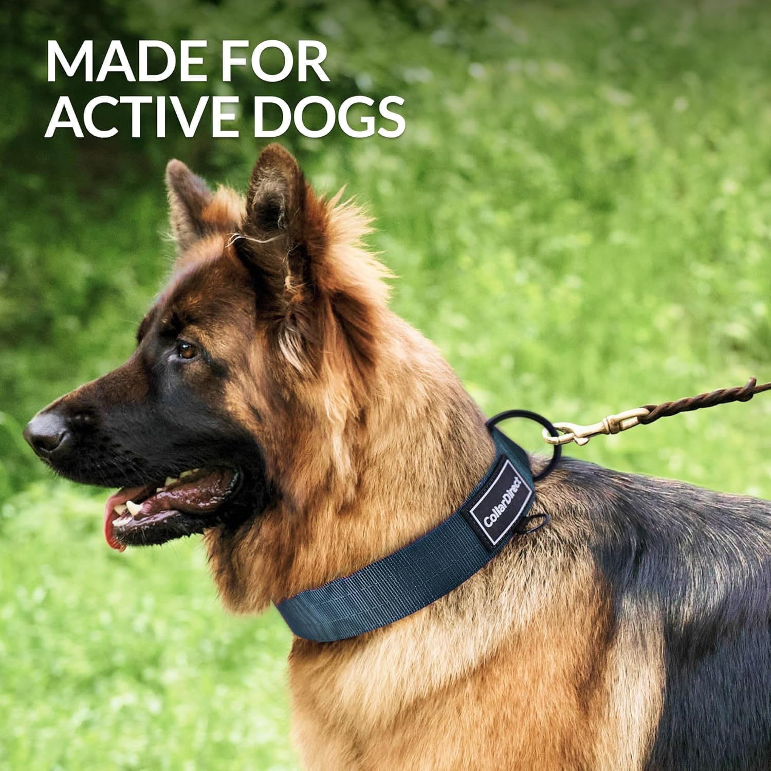 Detalle de Nylon Dog Collar, Dark Blue
