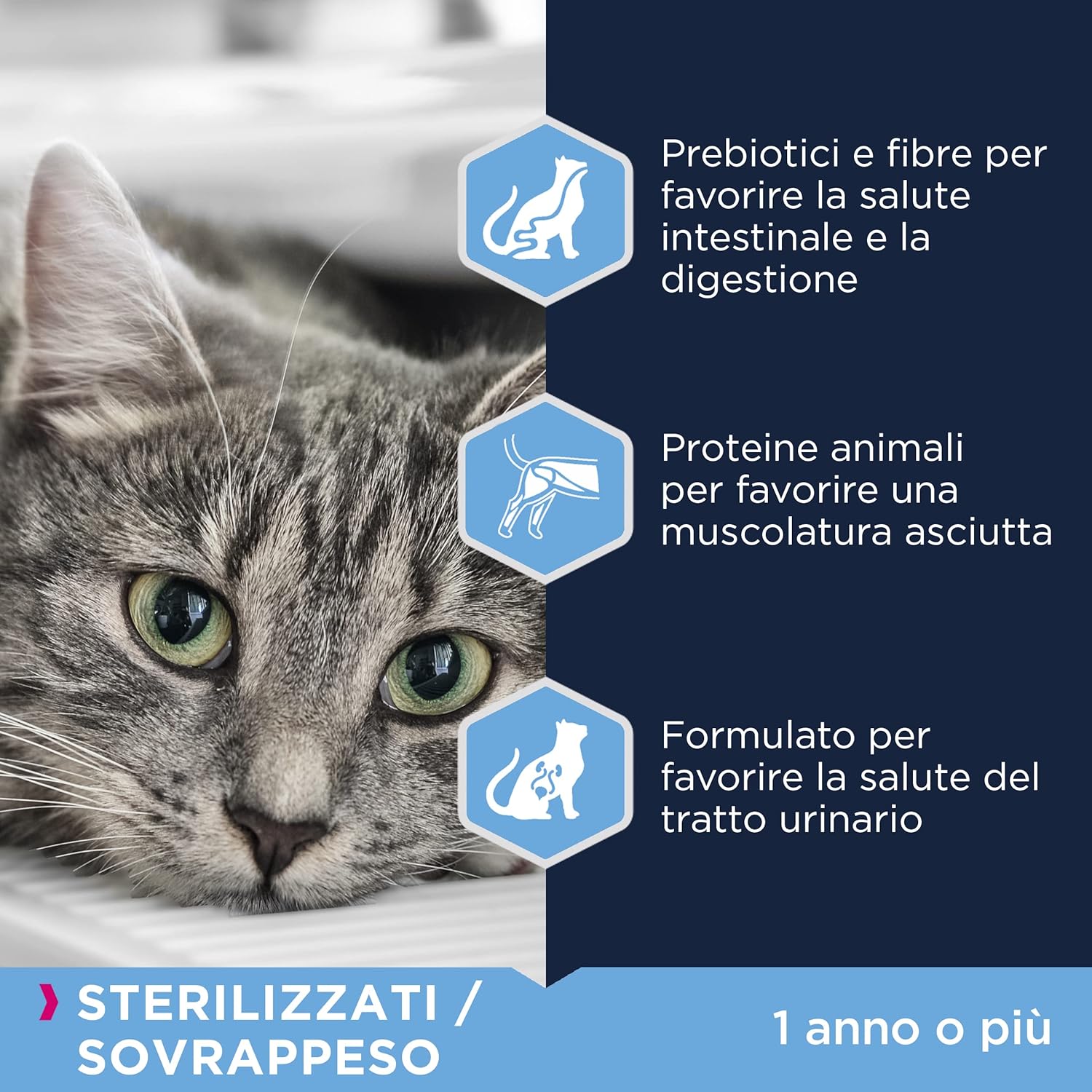 Detalle de Eukanubae Weight Control: cibo secco sterilizzato per gatti adulti – pollo e fegato, 2 kg