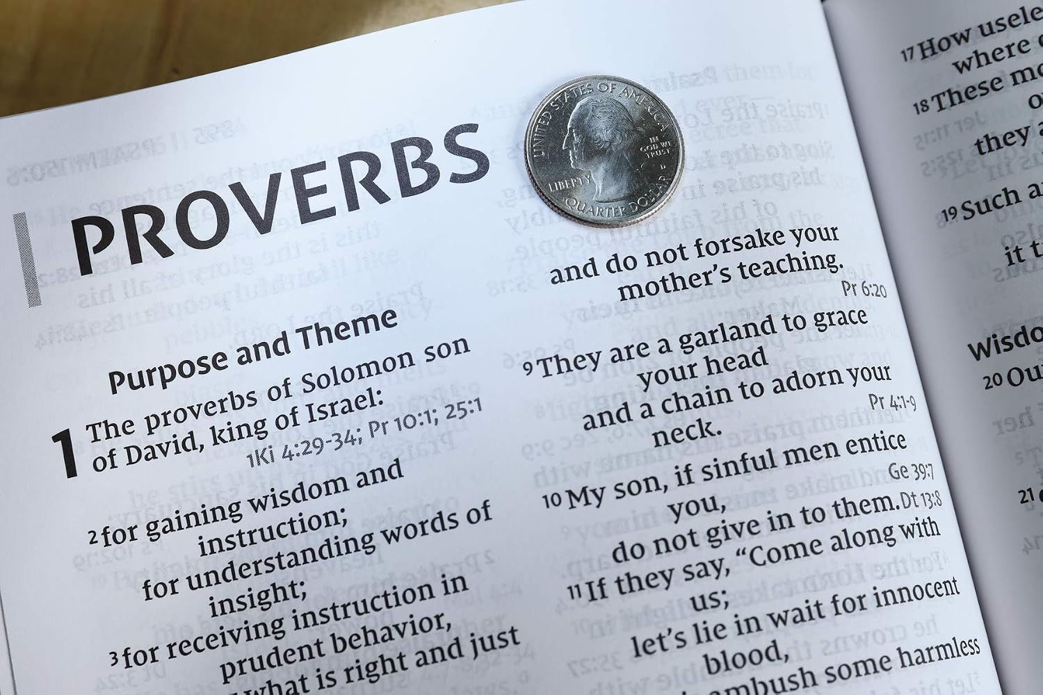 Detalle 2 de Zondervan NIV Reference Bible, Giant Print, Black Leather-Look, Red Letter Comfort Print
