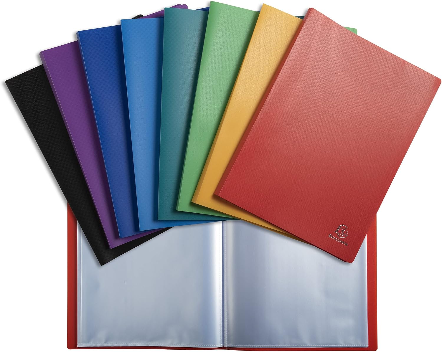 Detalle de Exacompta 8520E Protège-documents OPAK – 20 pochettes grainées, 40 vues, format A4 (24 x 32 cm)